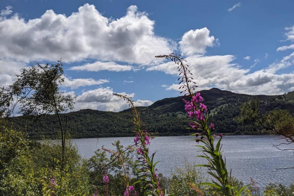 Rowan Cottage, Crannachcottages Garve Eksteriør bilde