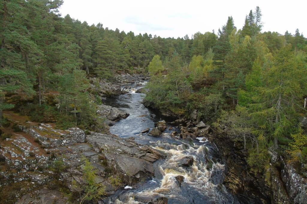 Rowan Cottage, Crannachcottages Garve Eksteriør bilde