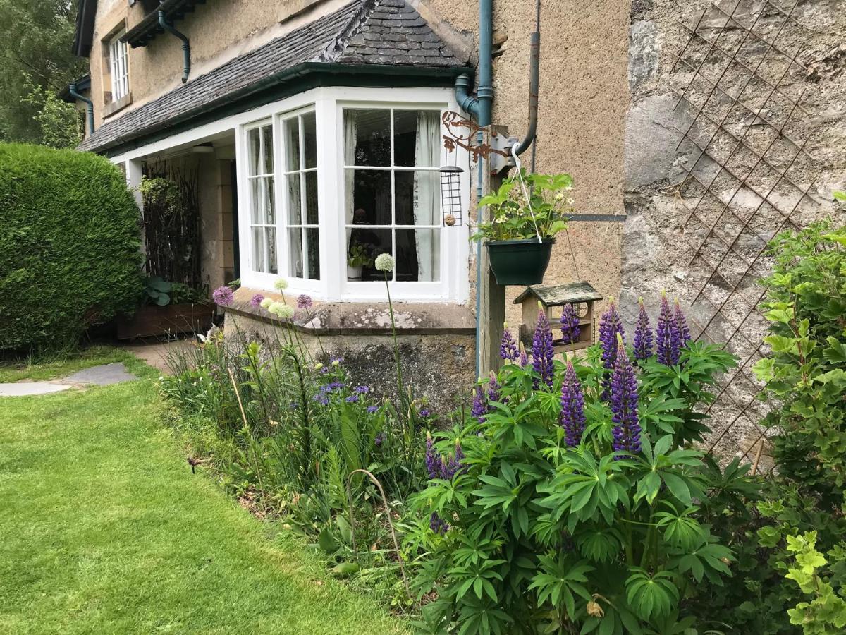 Rowan Cottage, Crannachcottages Garve Eksteriør bilde