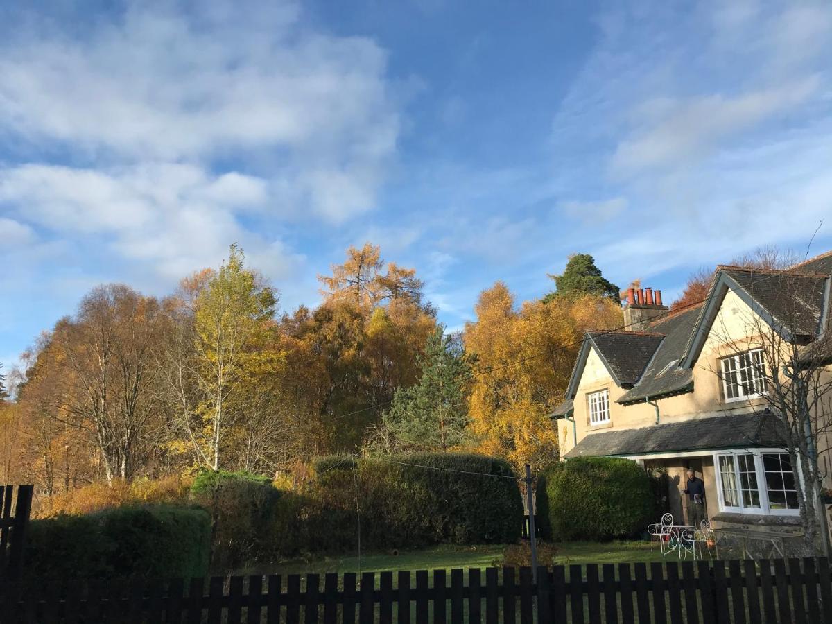 Rowan Cottage, Crannachcottages Garve Eksteriør bilde