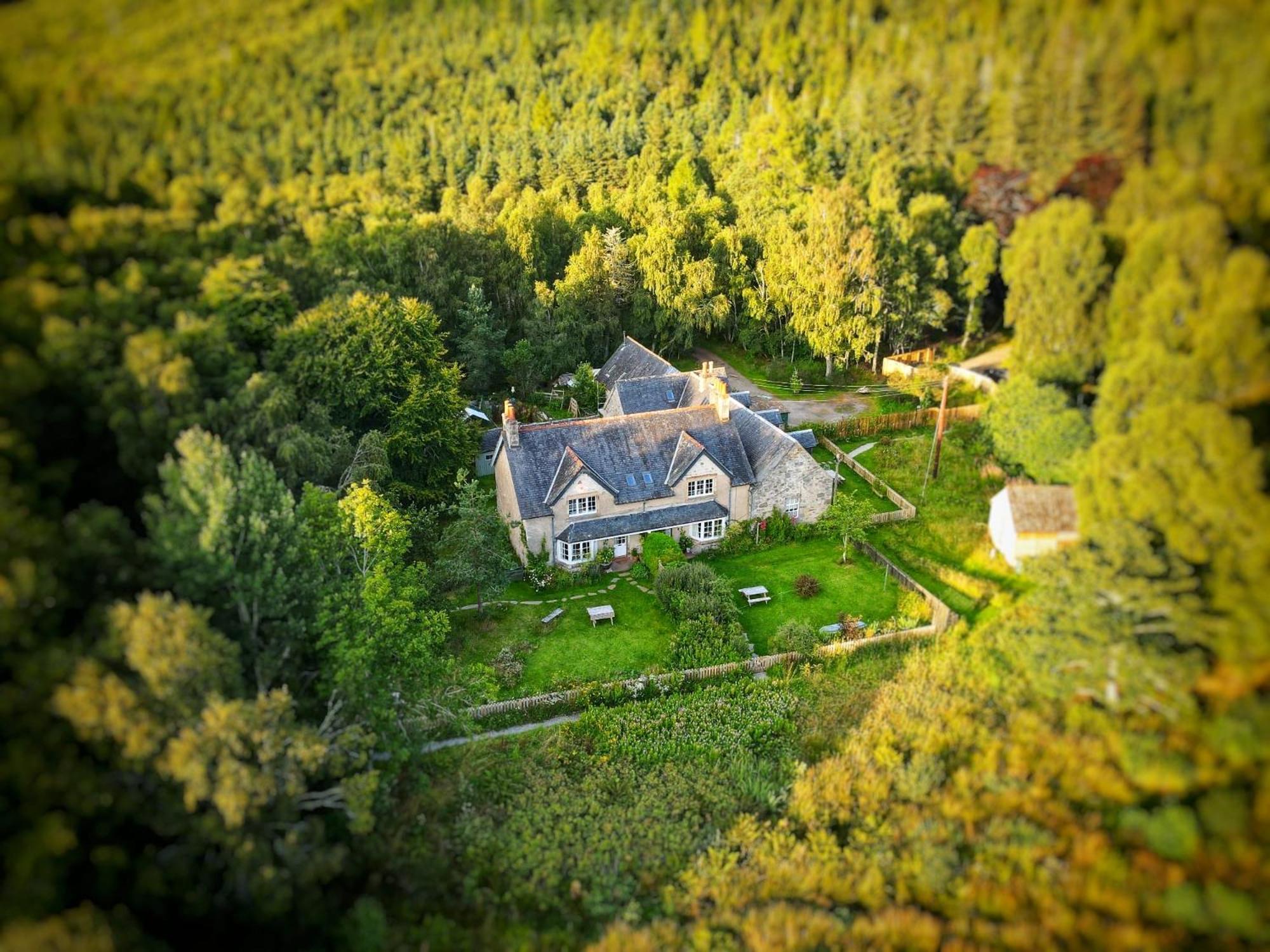 Rowan Cottage, Crannachcottages Garve Eksteriør bilde
